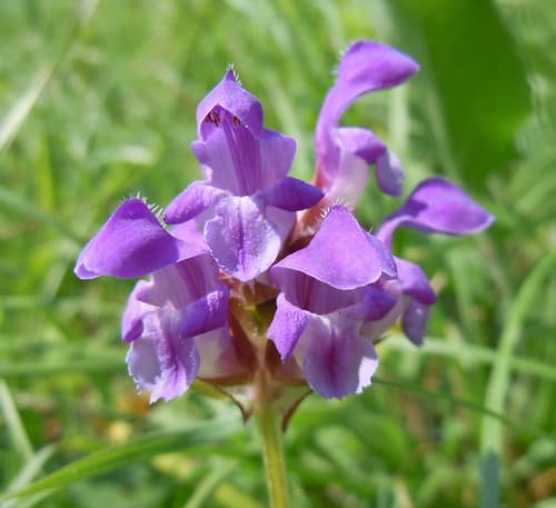 Large Self-heal