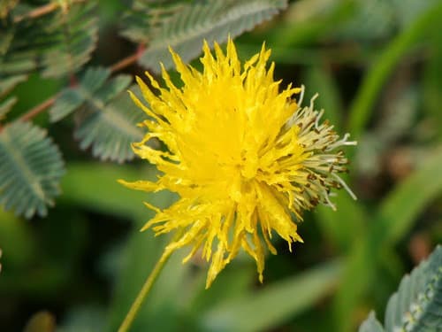 Water Dead-and-Awake