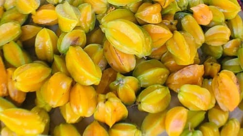 Starfruit Bonsai Display
