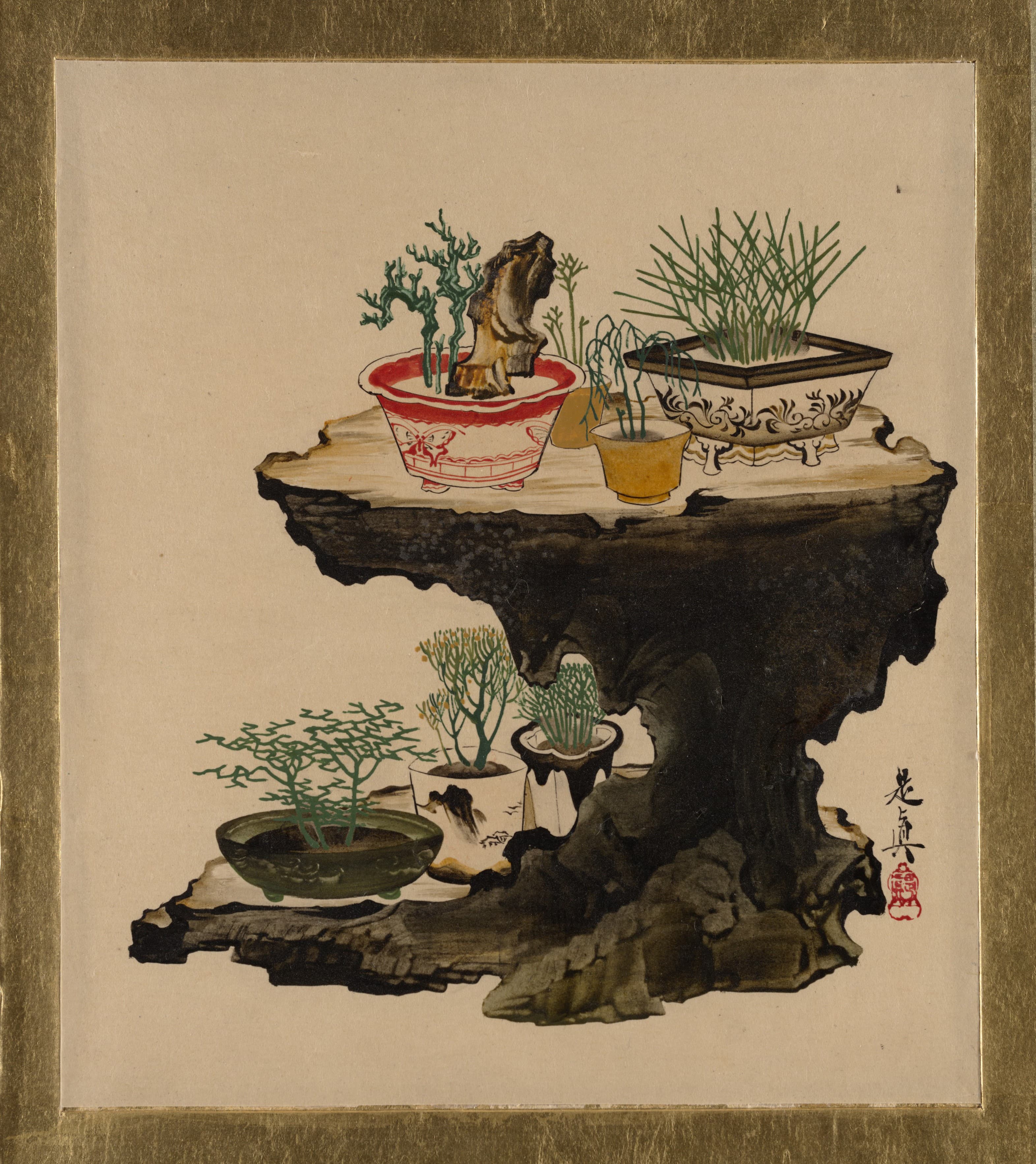 Root-Over-Rock Bonsai