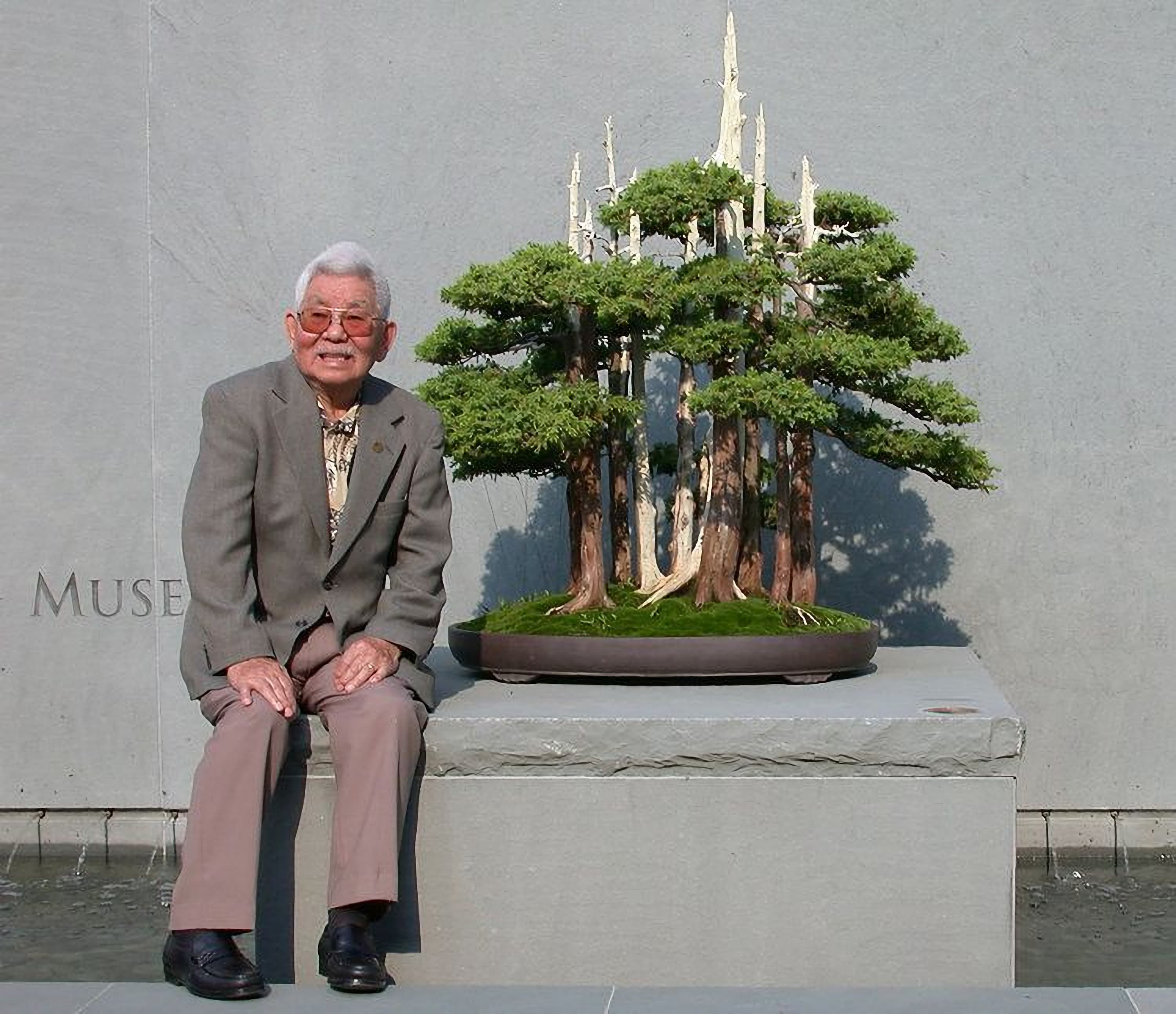 Goshin Bonsai Forest