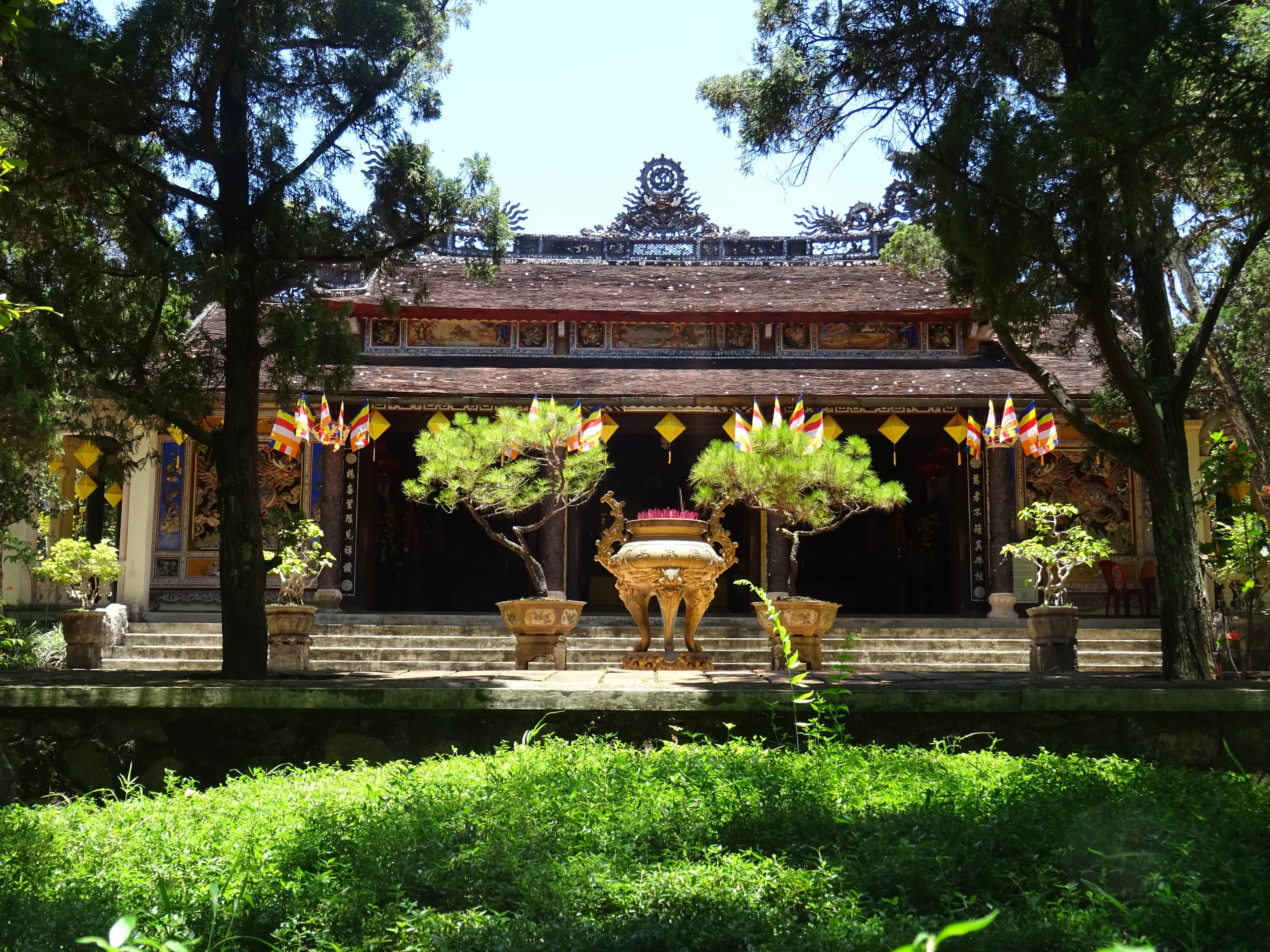 Pine Bonsai at Tu Hieu Pagoda