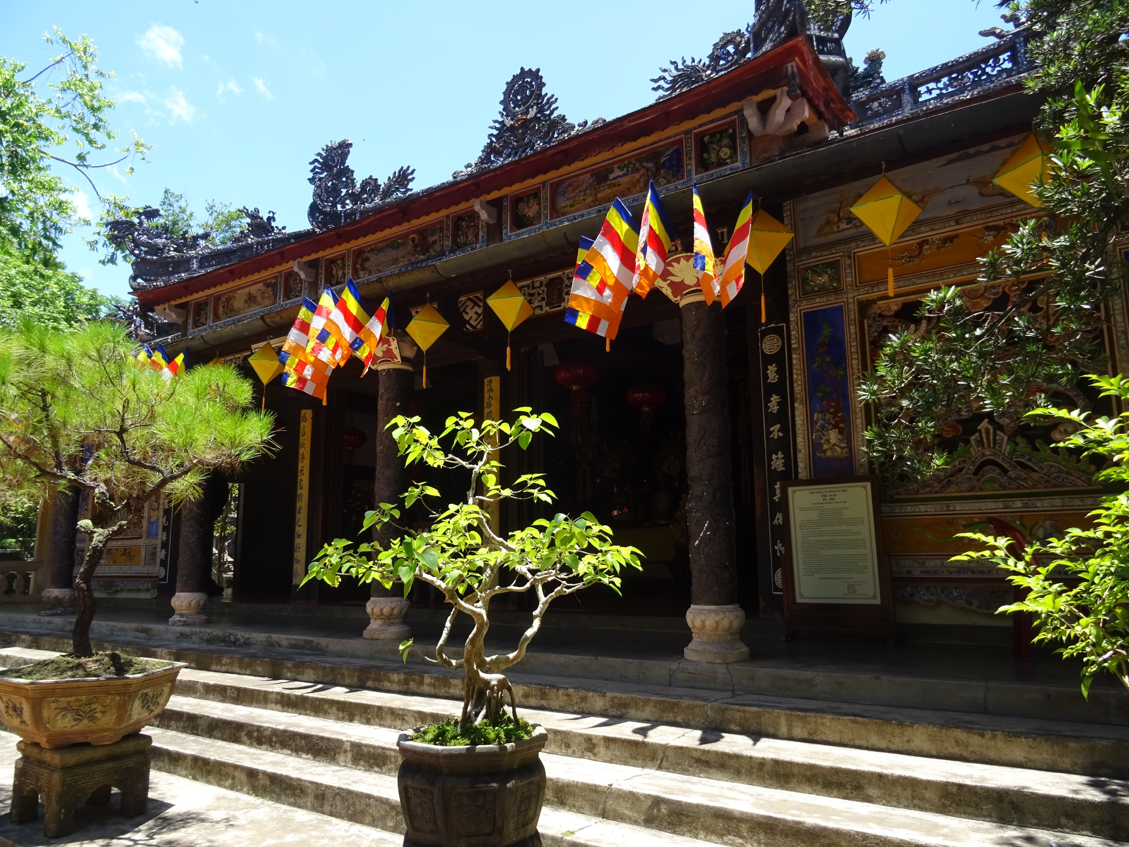 Chinese Banyan Bonsai