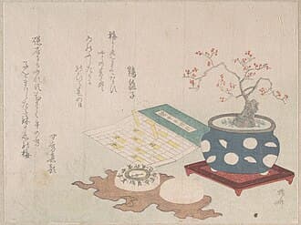 Japanese Plum Bonsai