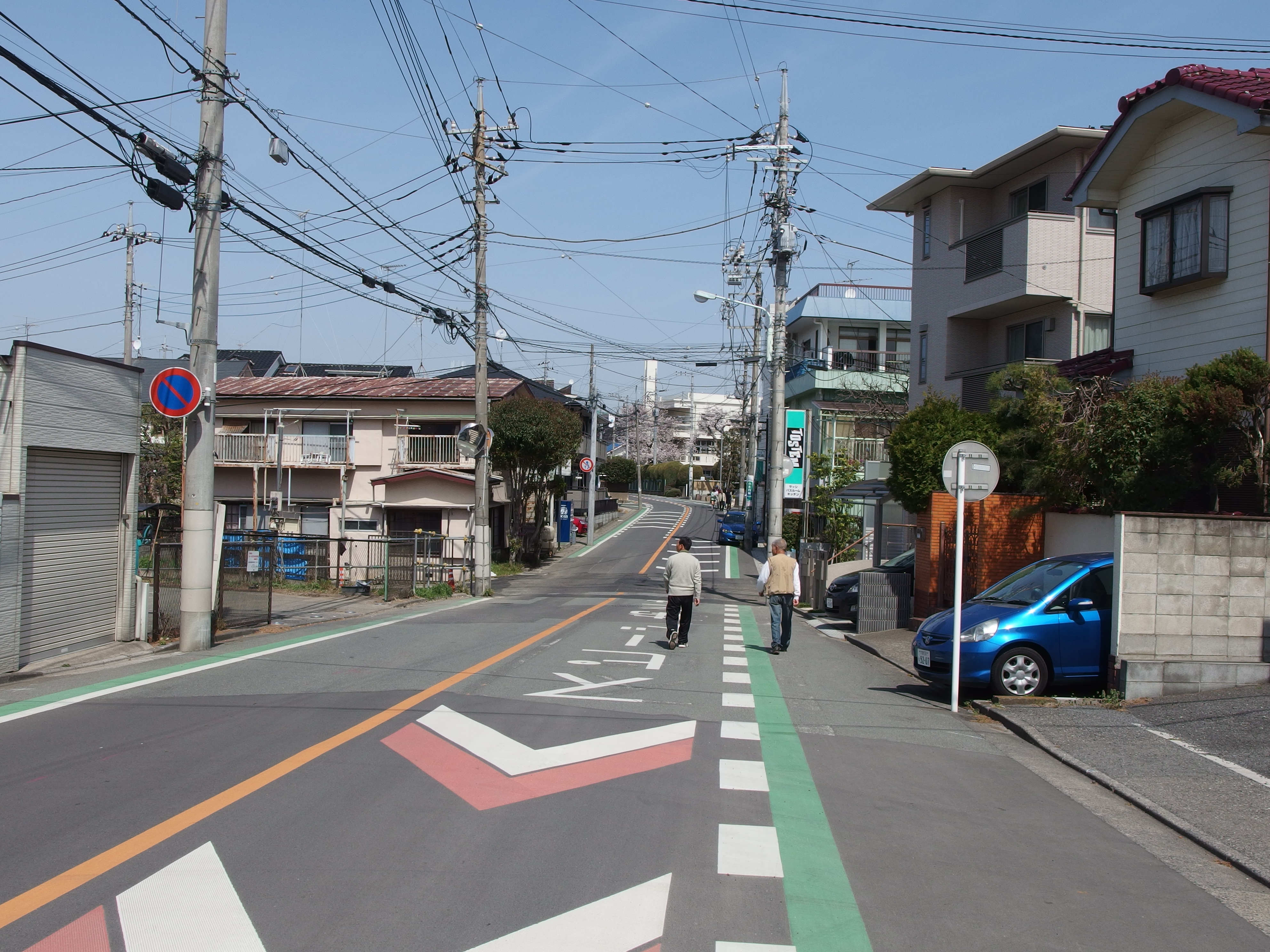 No Bonsai Specimen Visible