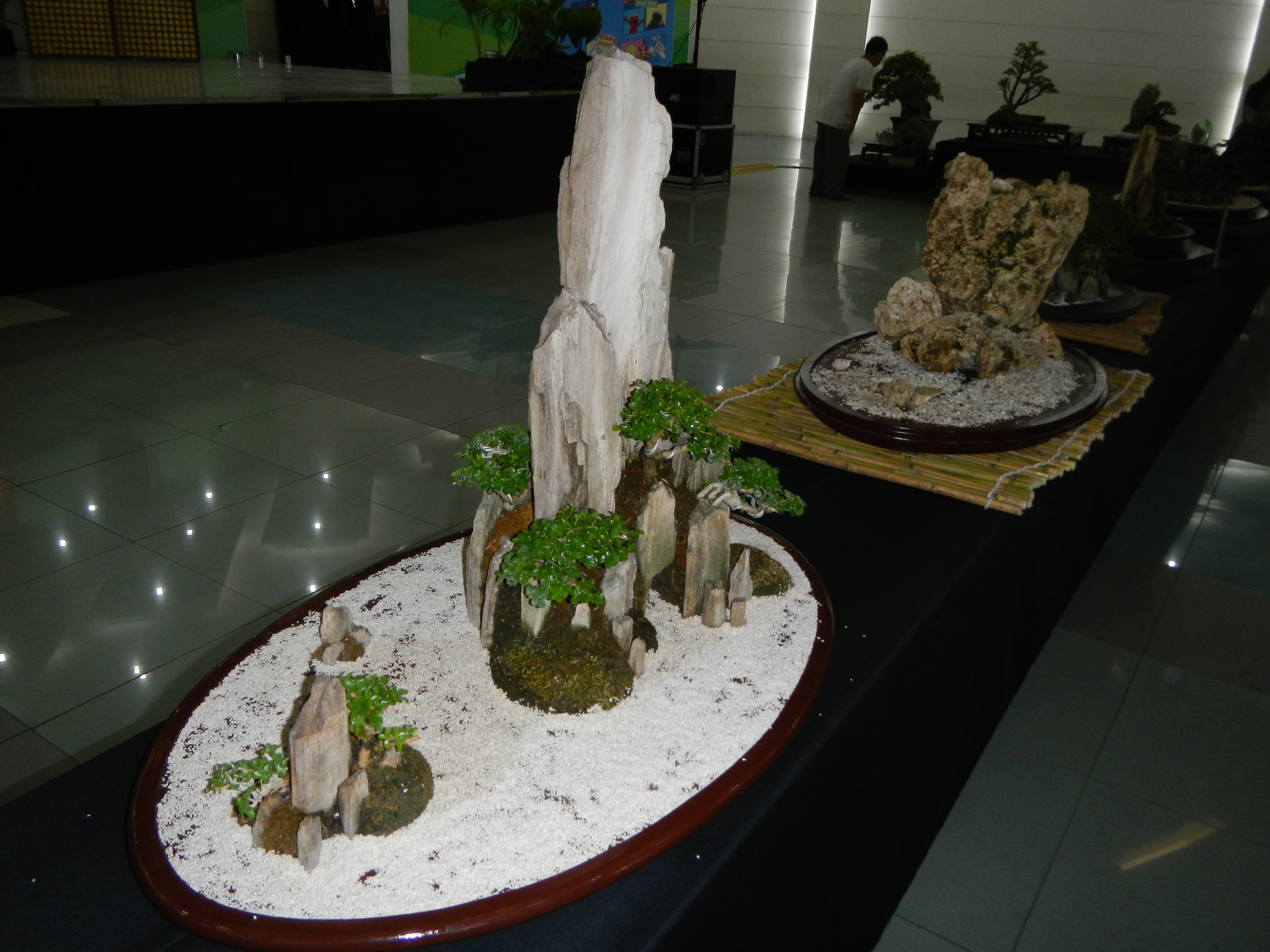 Rock Planting Landscape