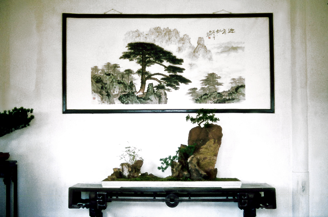 Chinese Juniper Penjing on Rock Landscape