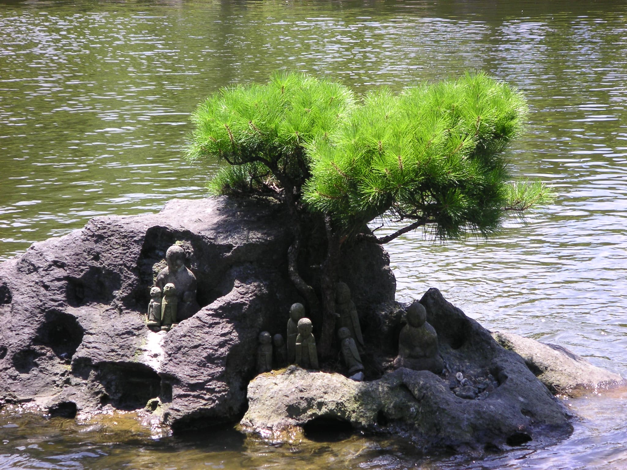 Japanese Black Pine Root-Over-Rock Bonsai with Sculptures