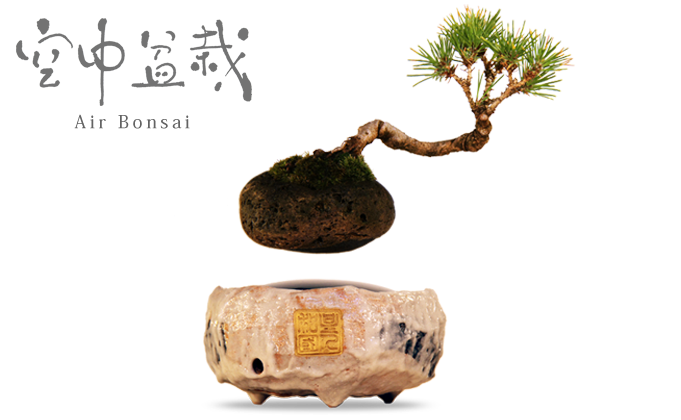 Air Bonsai