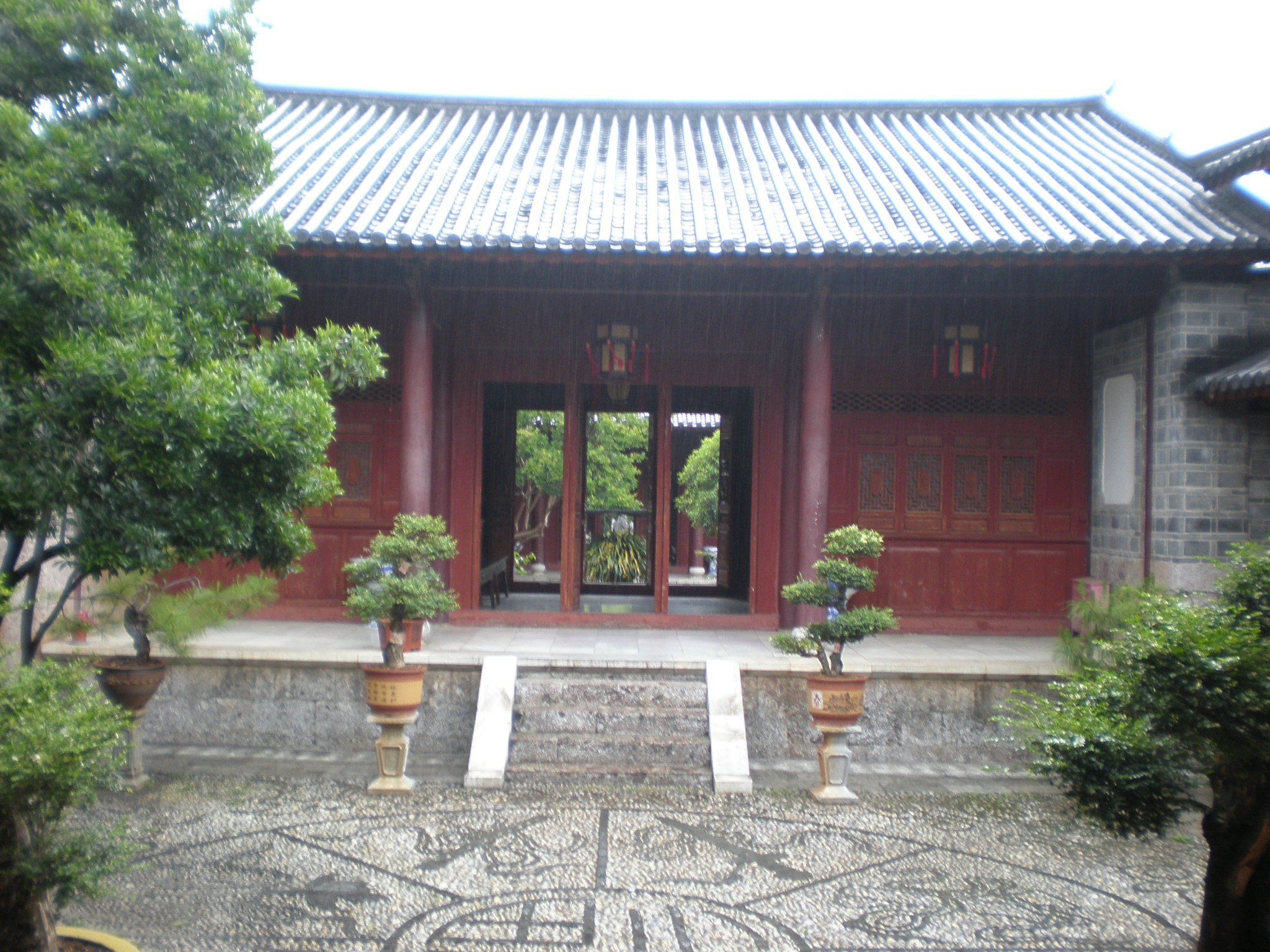 Chinese Banyan Tiered Bonsai