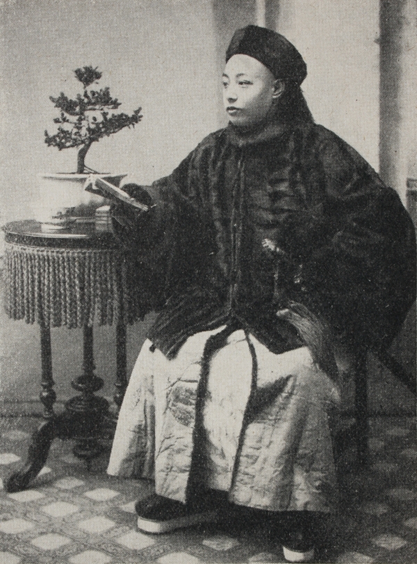 Historic Chinese Elm Bonsai