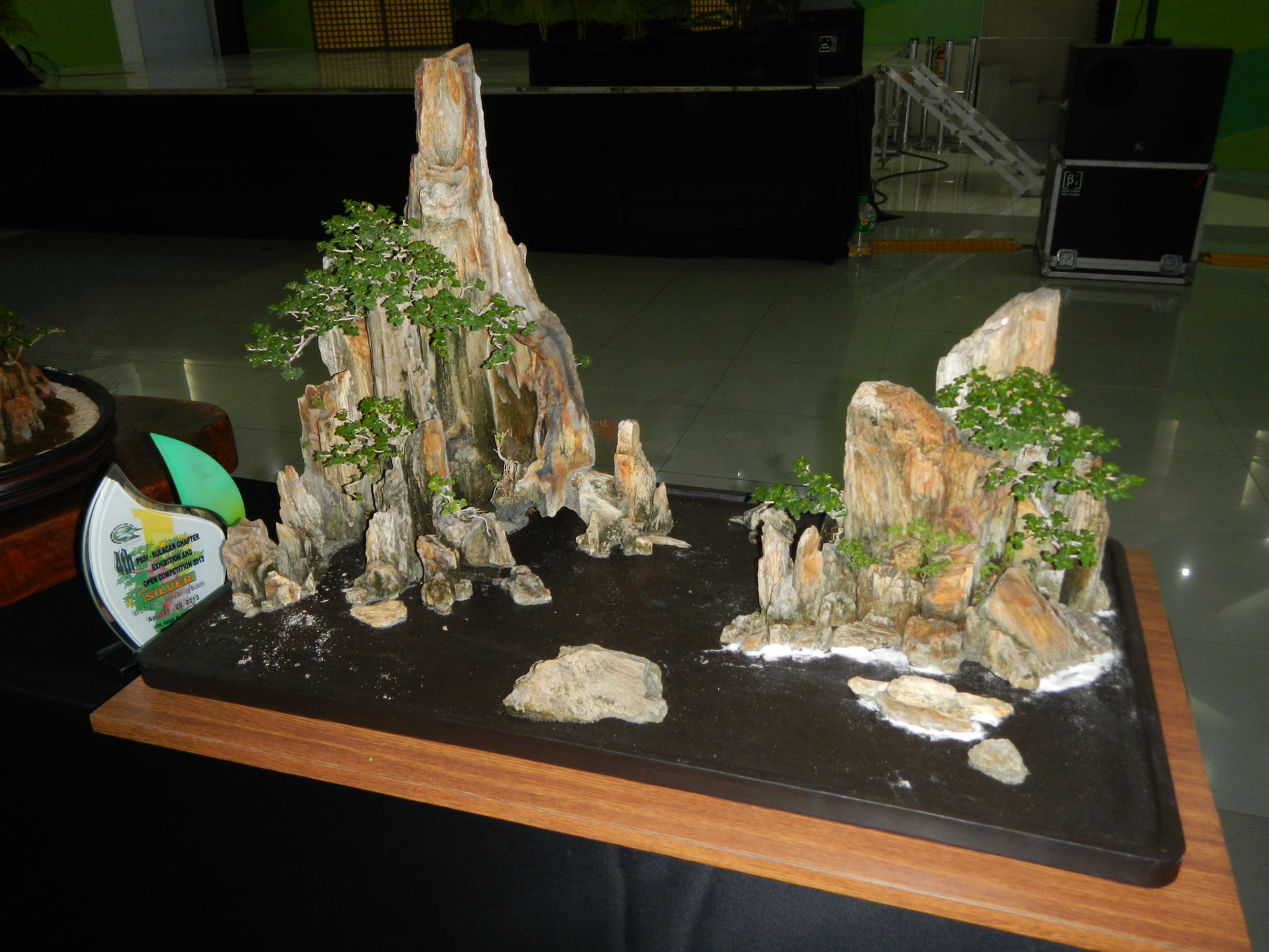 Tropical Rock Landscape Bonsai