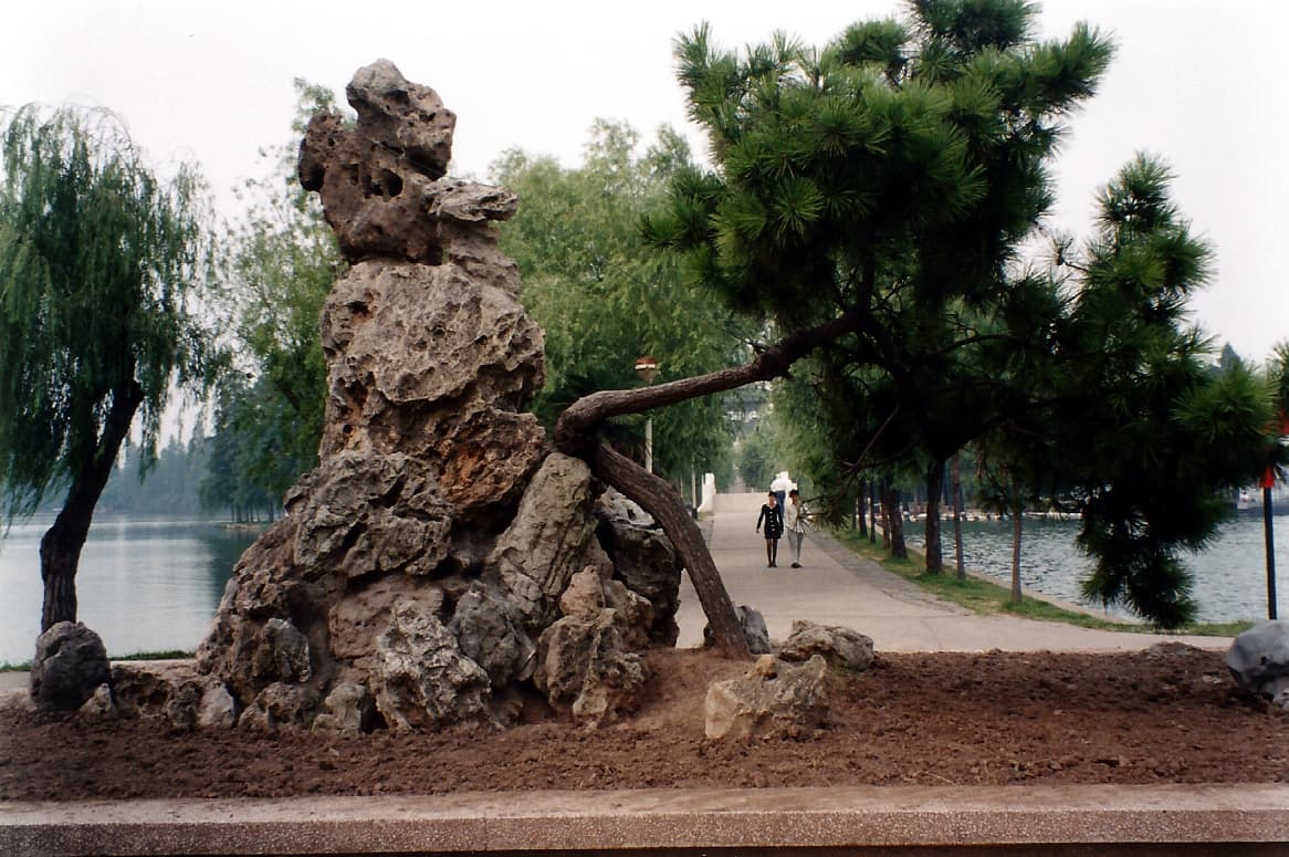 Summer Palace Pine and Rock Arrangement