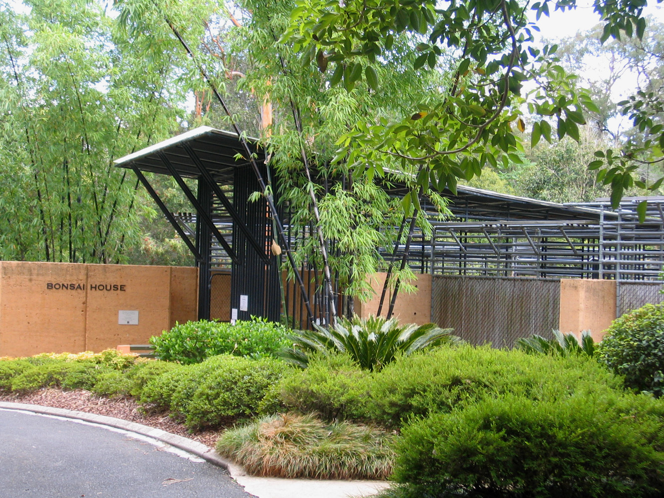 No Bonsai Specimen Visible