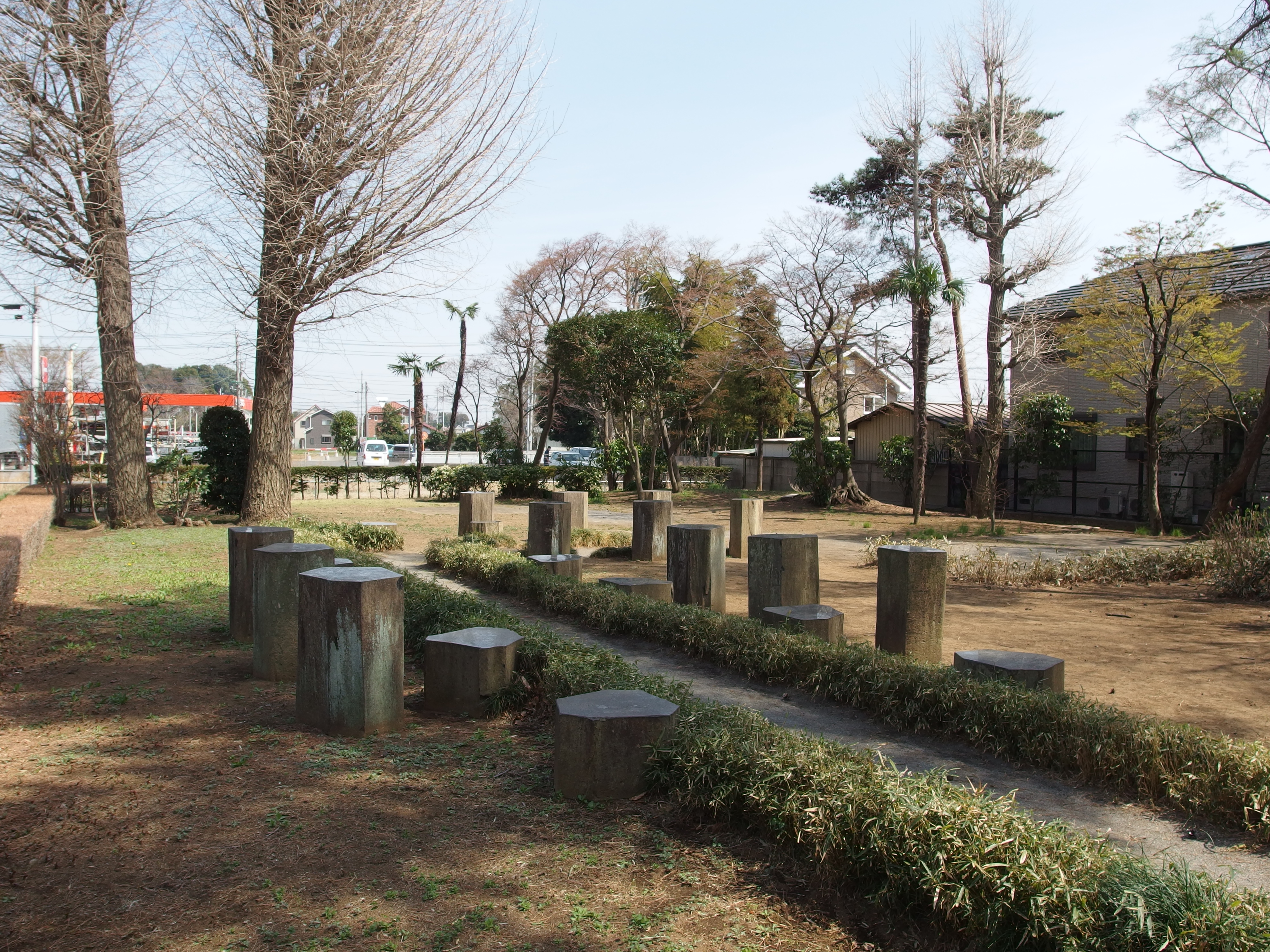 No Bonsai Specimen Visible