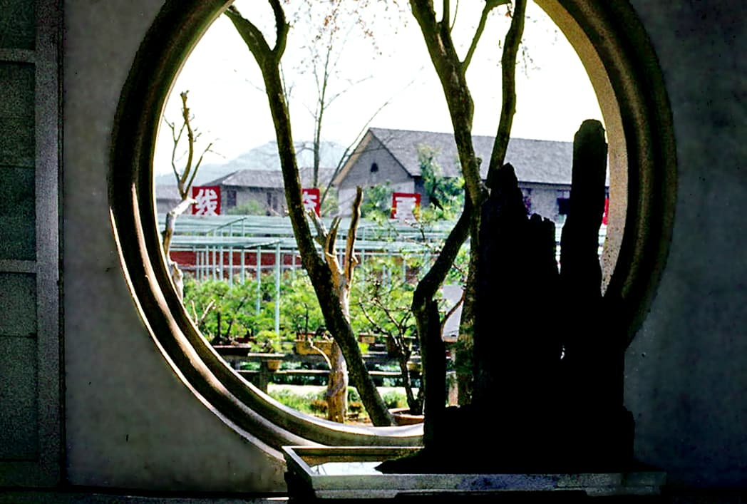 Rock Landscape Penjing