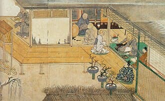 Hachi no ki Deciduous Bonsai