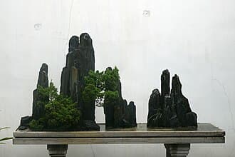 Suzhou Penjing Landscape