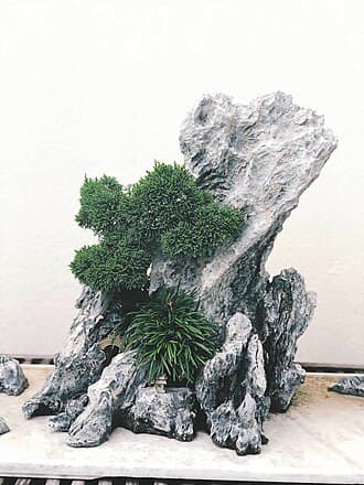 Juniper Rock Planting Bonsai