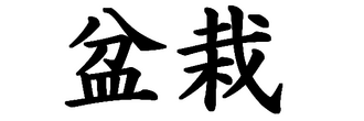 Bonsai Kanji Script