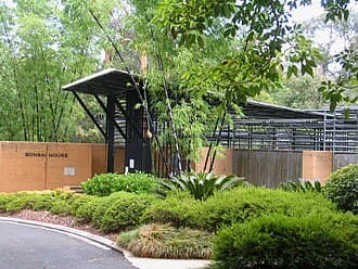 No Bonsai Specimen Visible