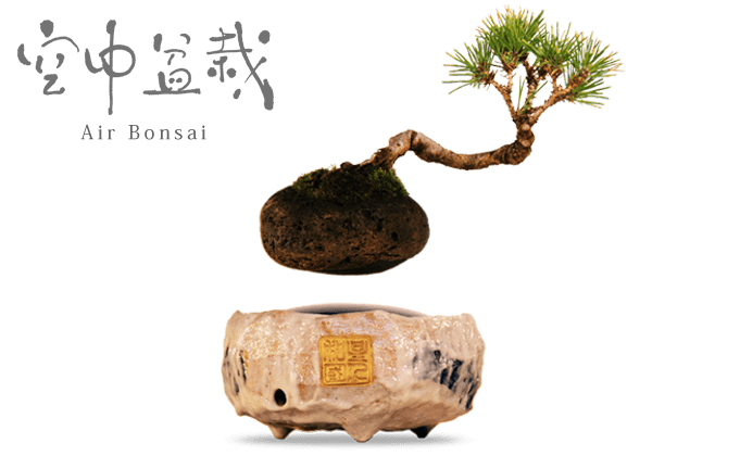 Air Bonsai