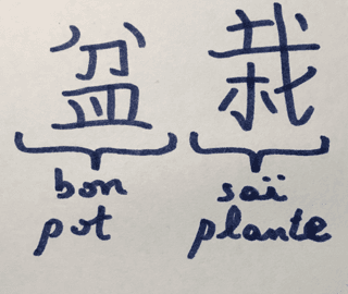 Bonsai Kanji Characters