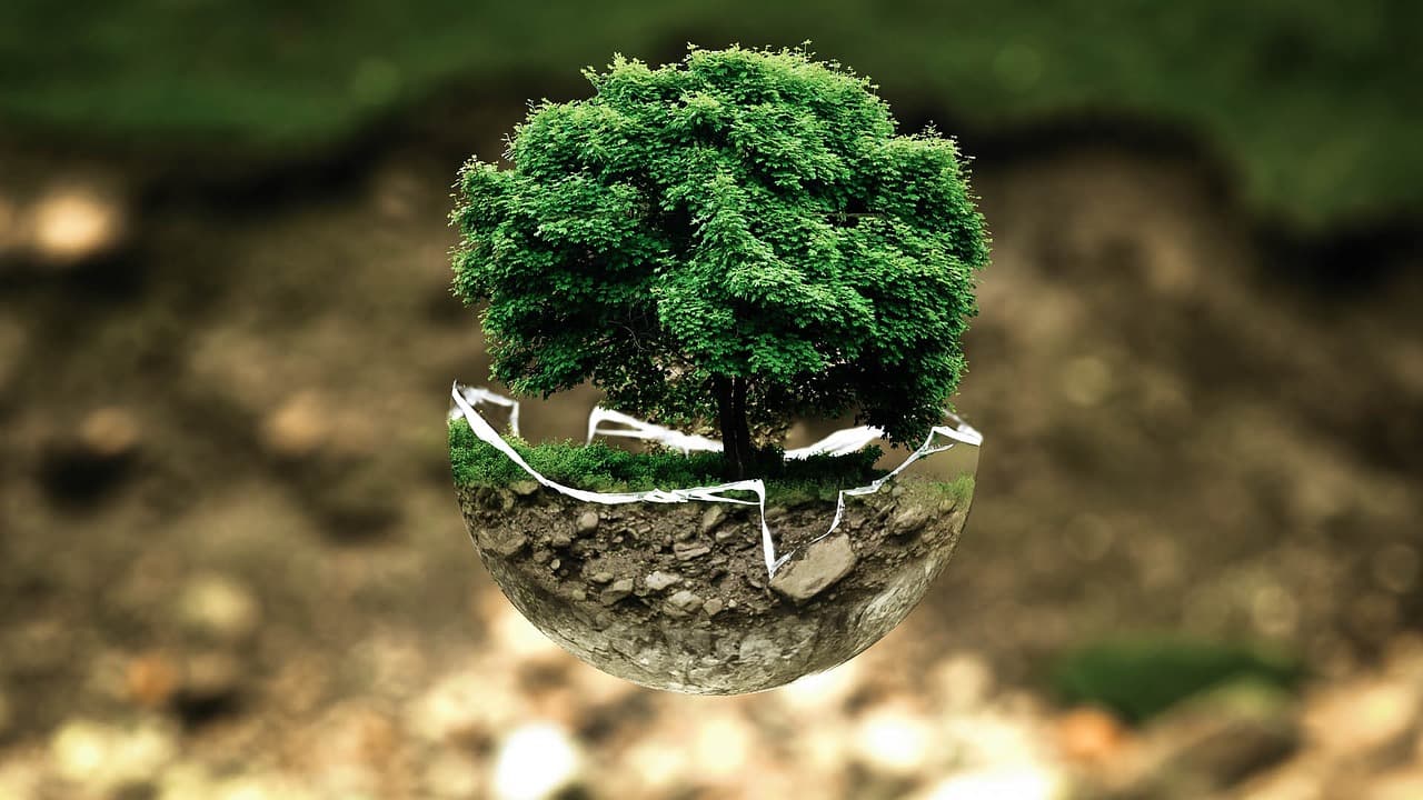 Symbolic Tree of Earth Depletion