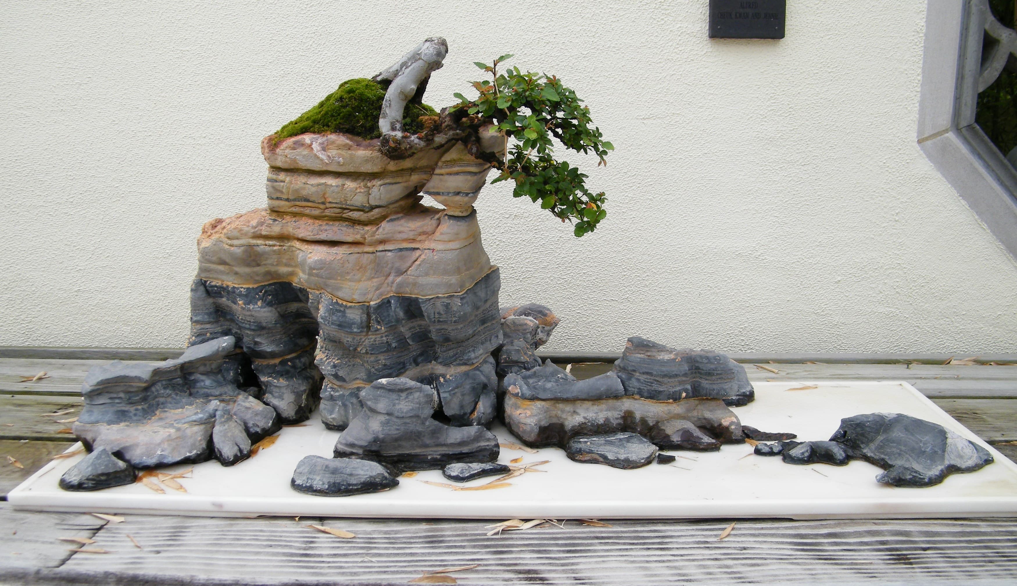 Autumn Winds, Rock Penjing