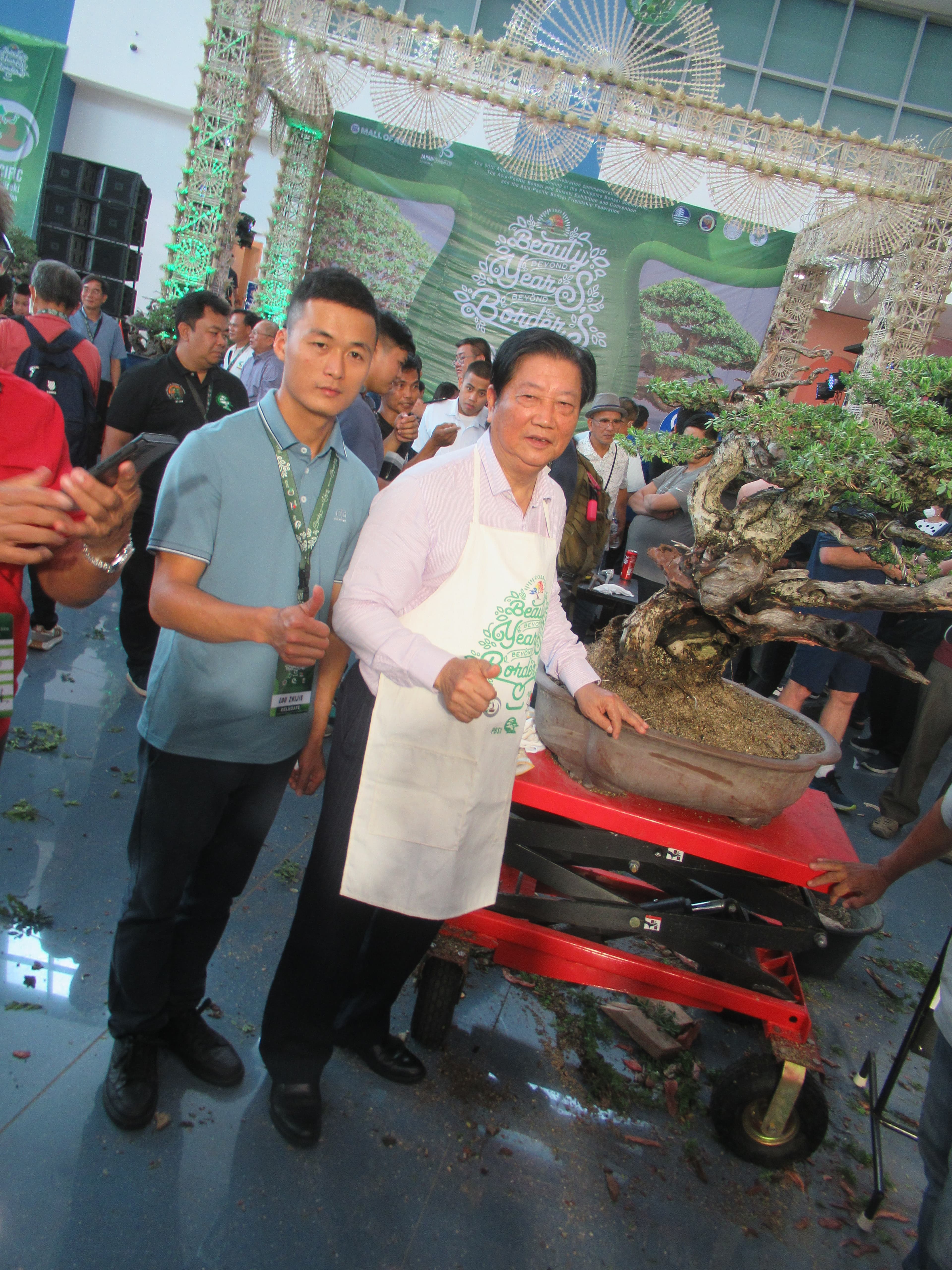 Ancient Ficus Bonsai with Dramatic Trunk