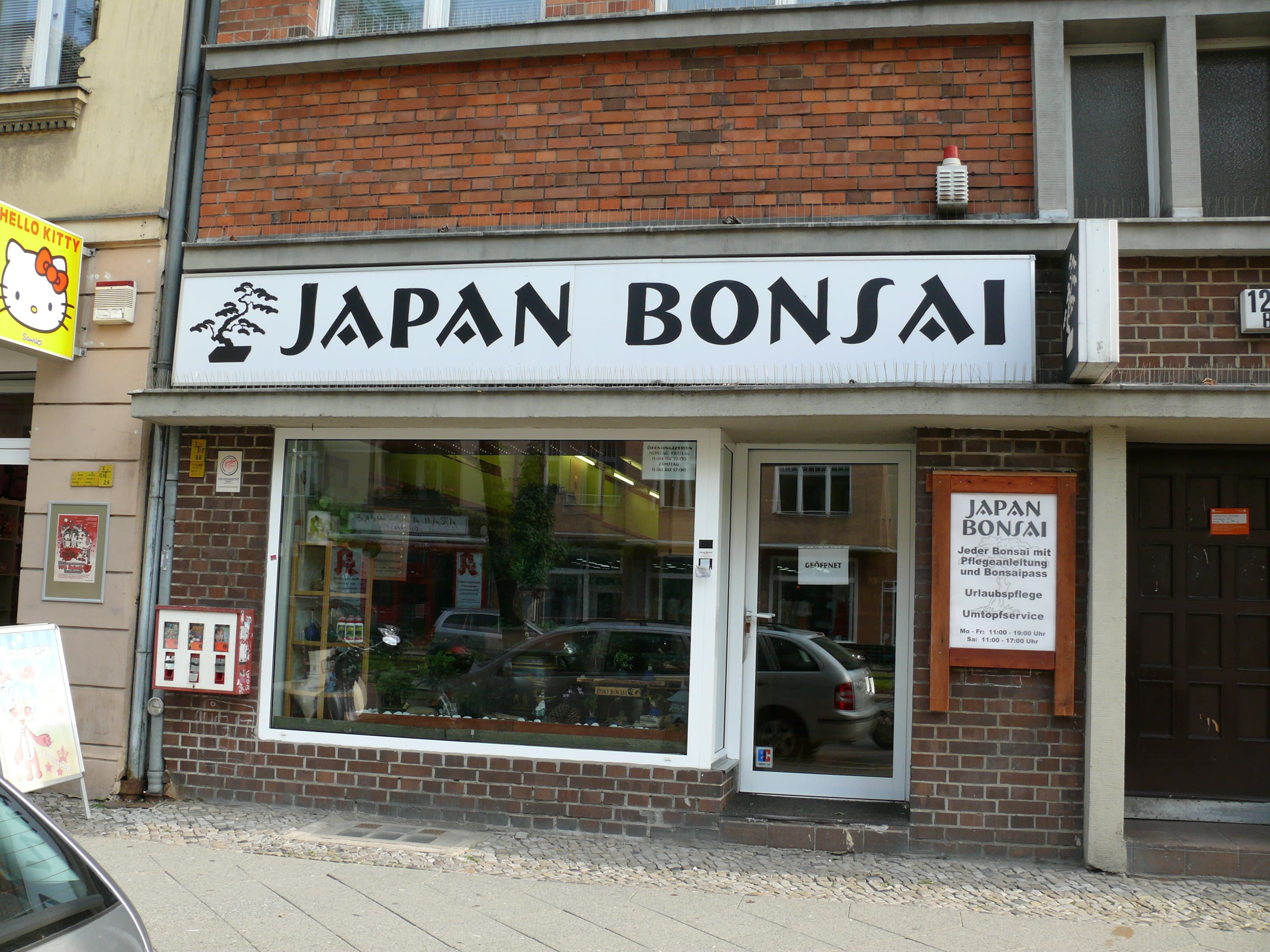 No identifiable bonsai specimen