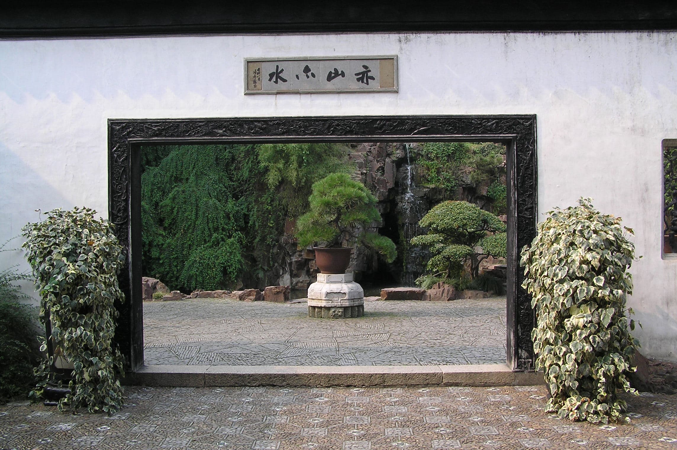 Mature Pine Penjing in Suzhou Garden