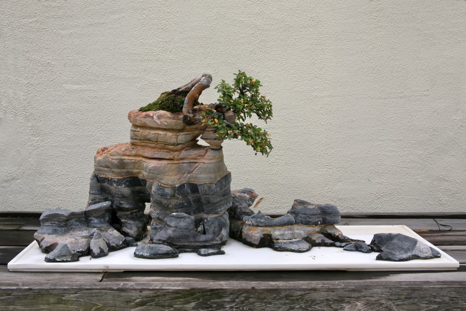 Rock Penjing 'Autumn Winds'