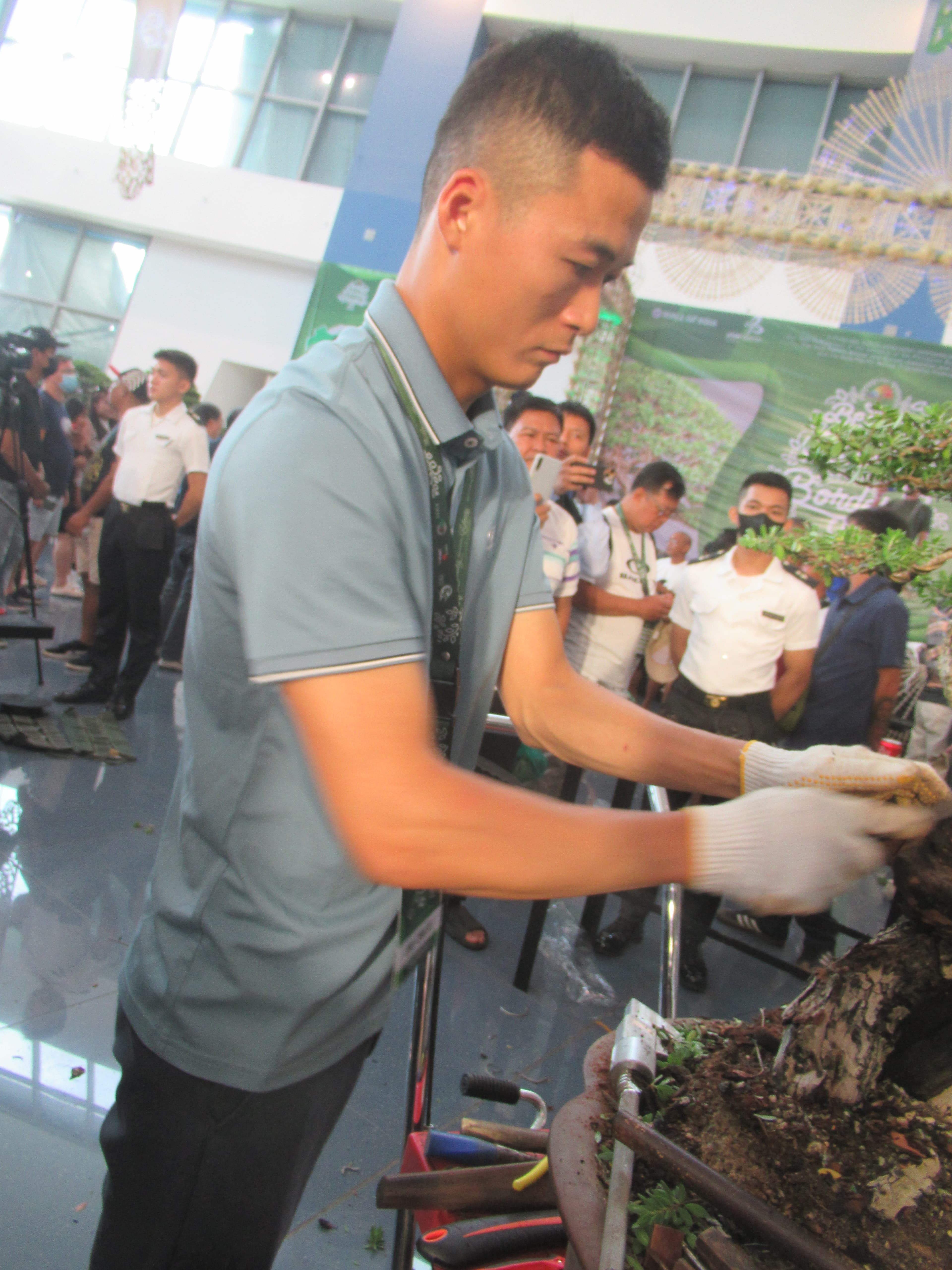 Convention Bonsai Specimen