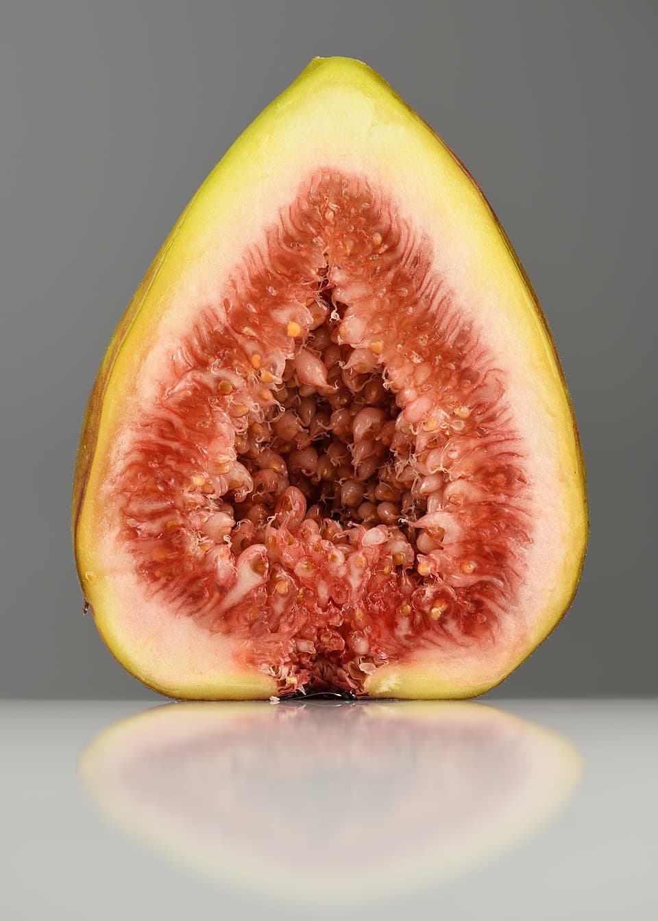 Common Fig Deadwood Bonsai