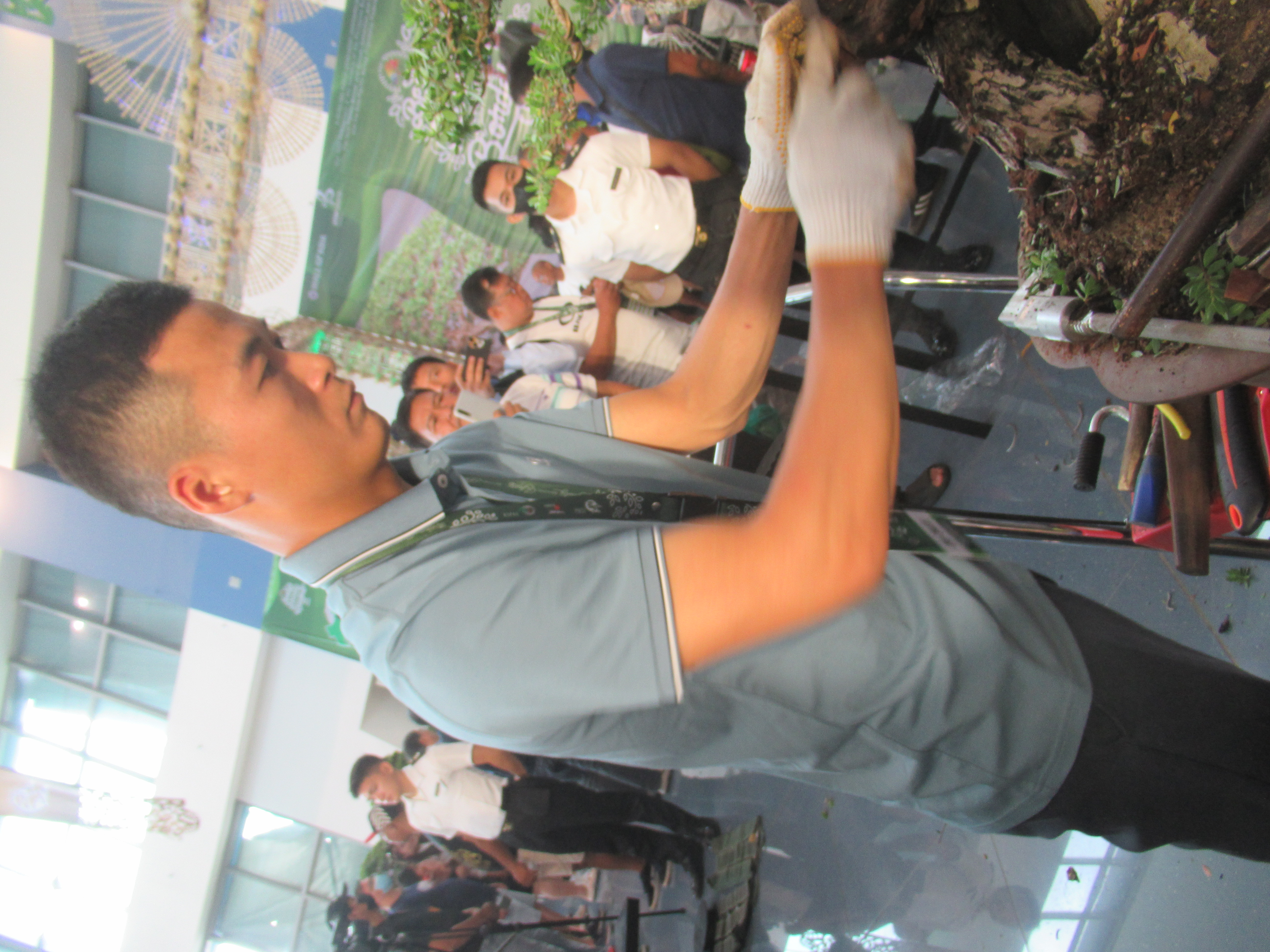 Convention Bonsai Specimen