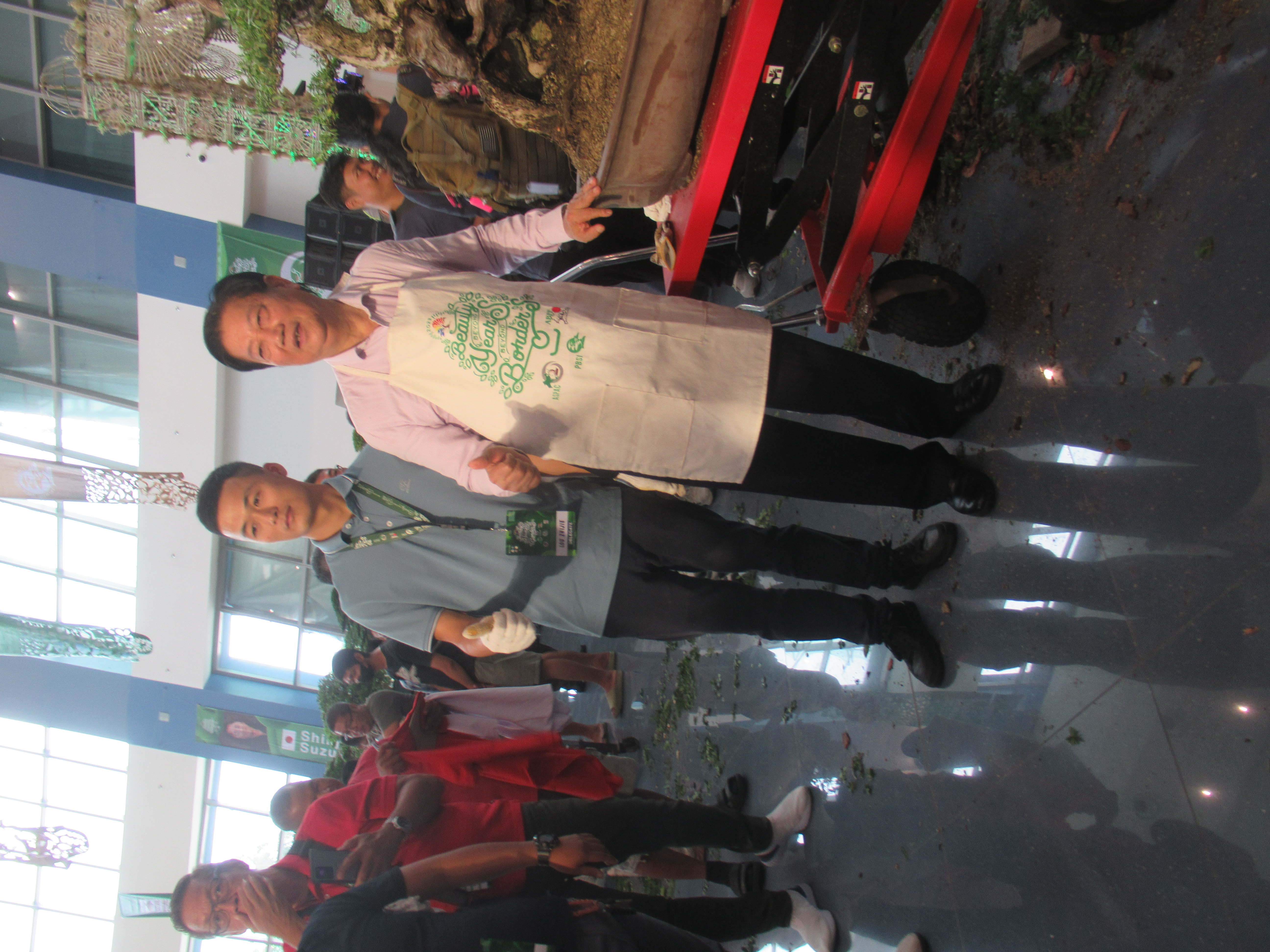 Large Ficus Bonsai at Exhibition