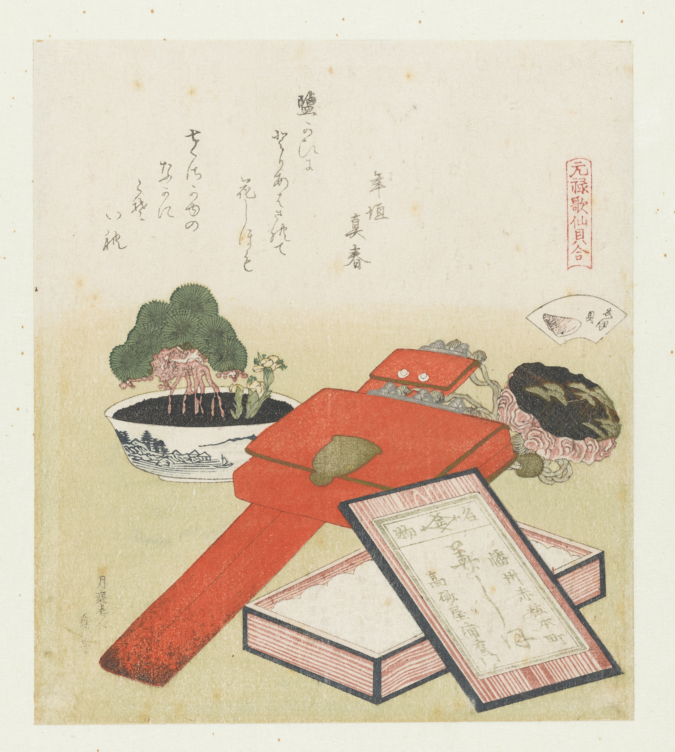 Japanese Black Pine Bonsai with Exposed Roots