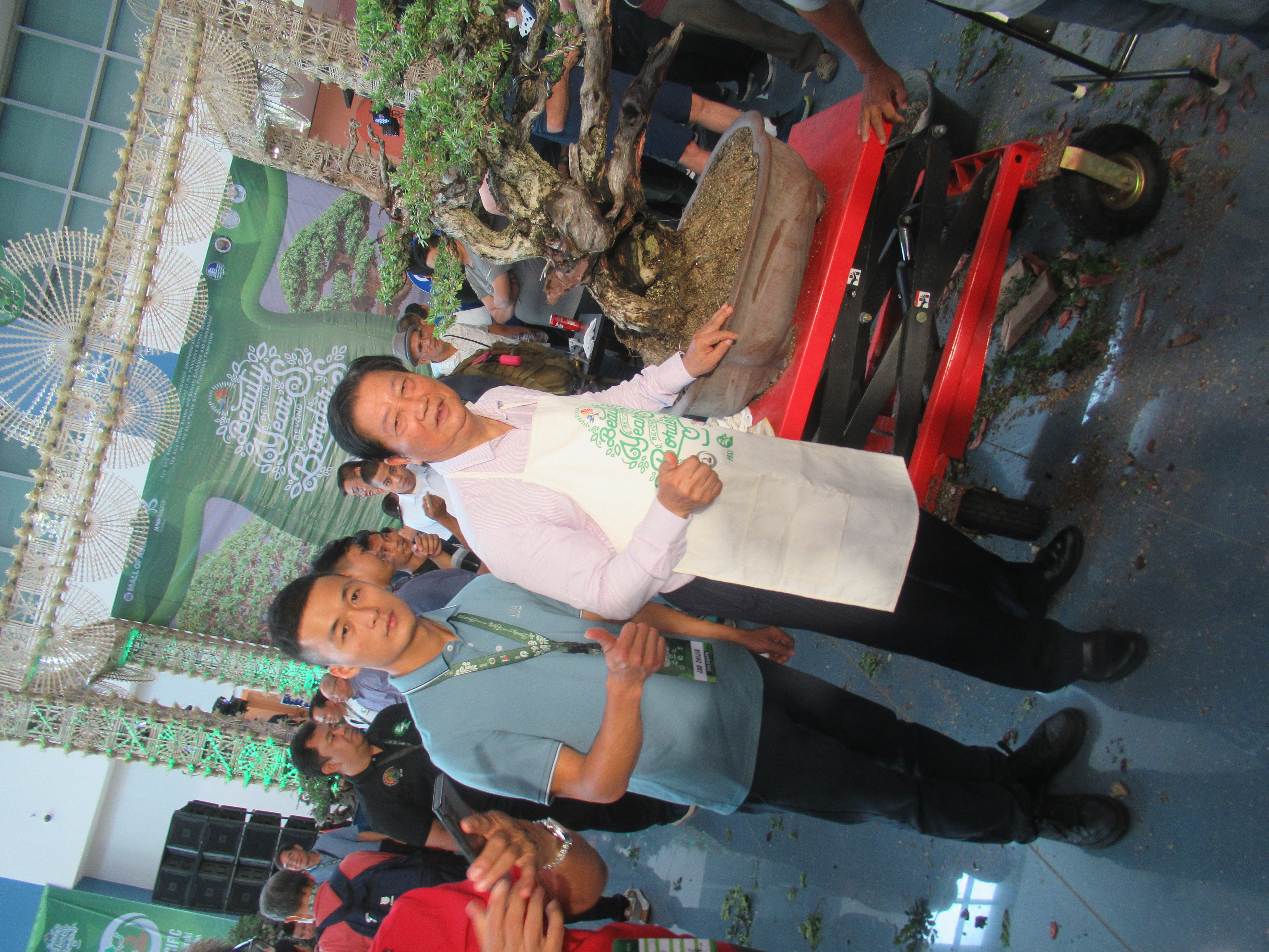 Ancient Ficus Bonsai with Dramatic Trunk