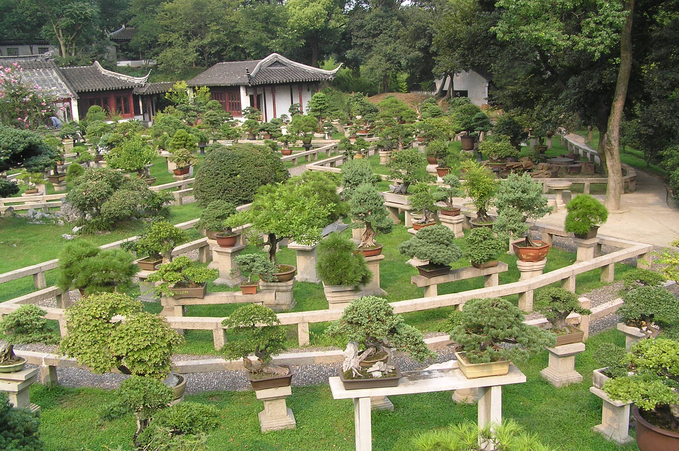 Suzhou Penjing Forest Display