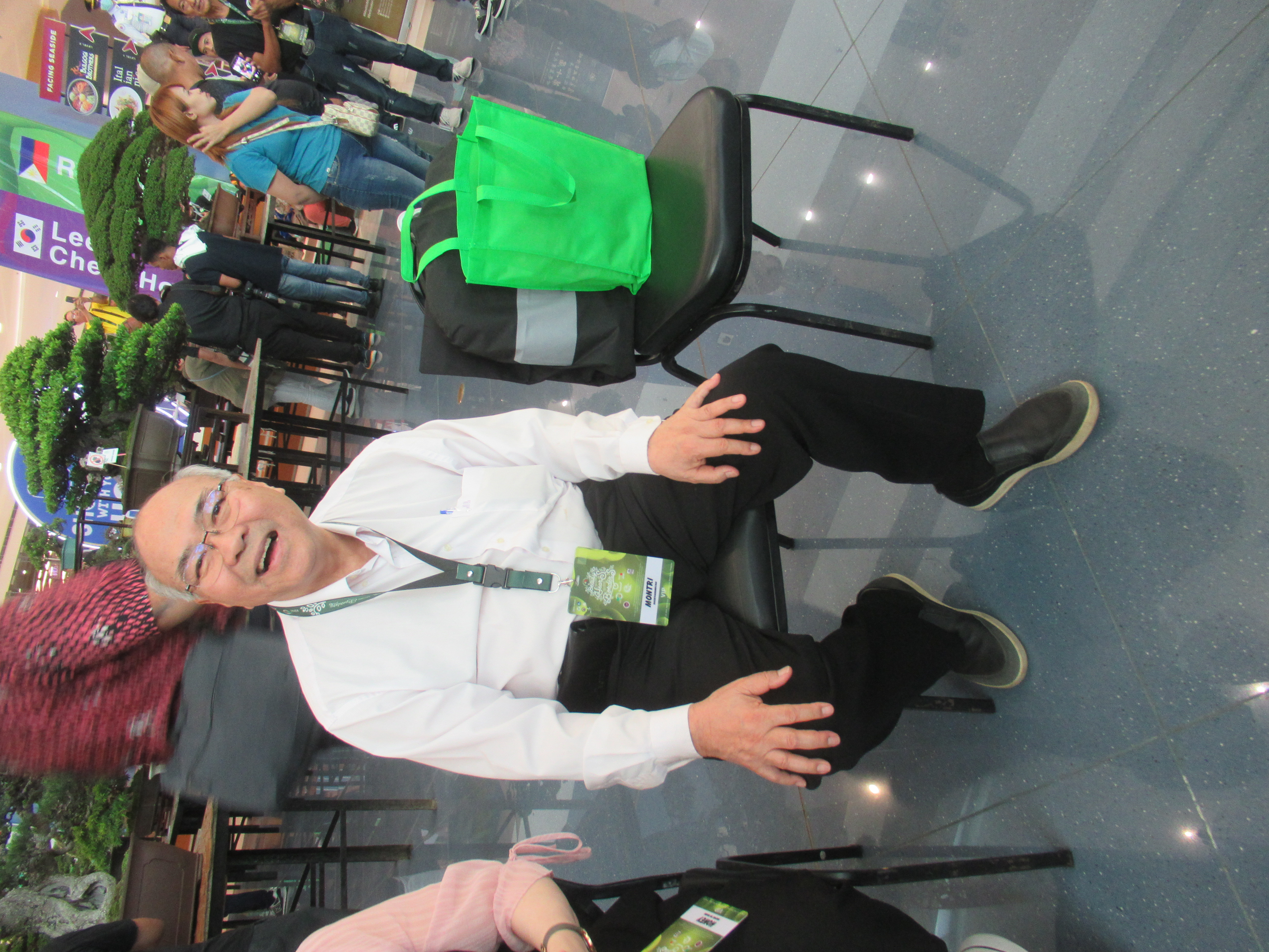 Refined Chinese Juniper Bonsai