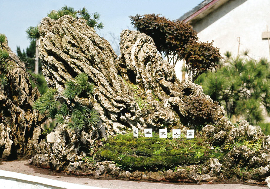 Penjing Rock Landscape with Pines
