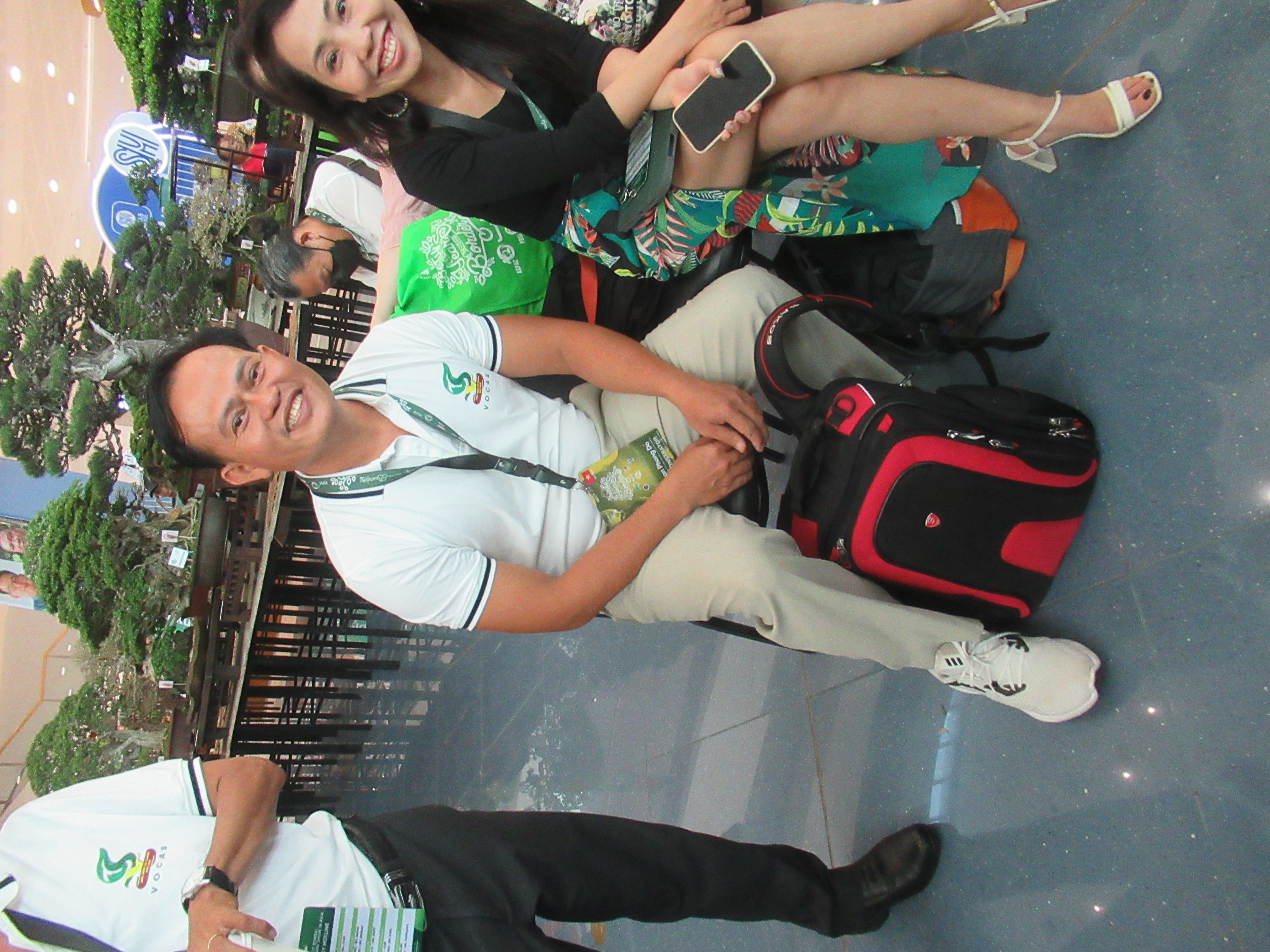 Exhibition Japanese Black Pine Bonsai