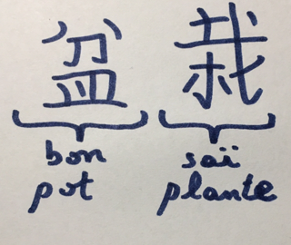 Bonsai Kanji Characters