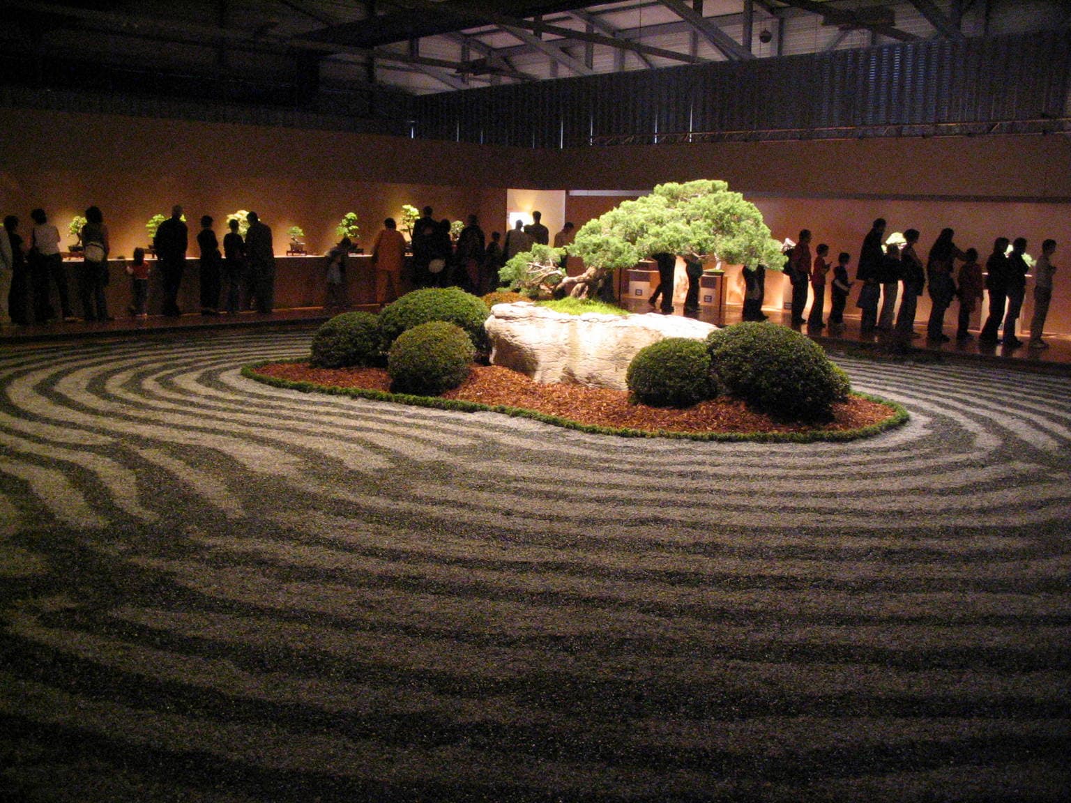 Large Juniper Bonsai on Rock Landscape