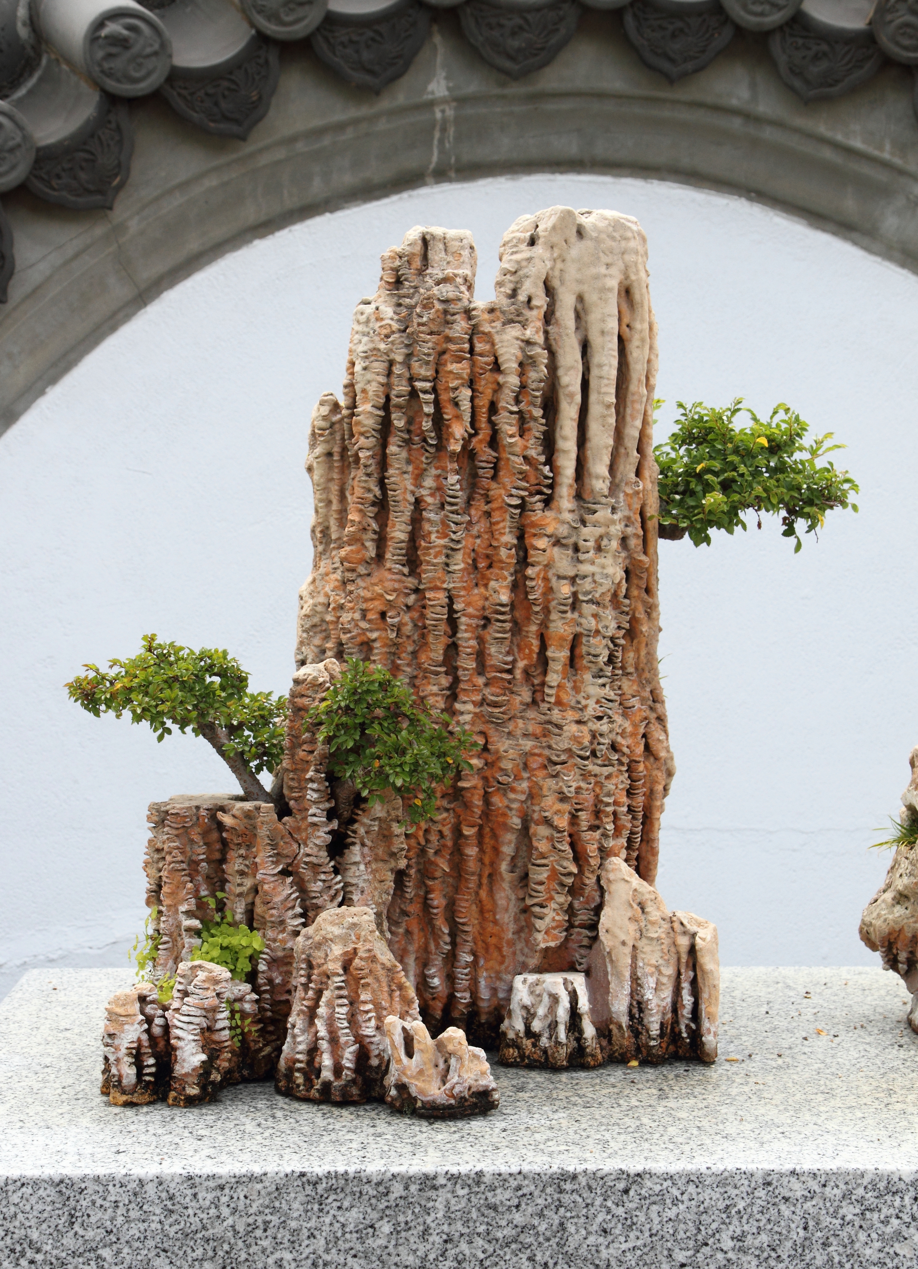 Vorticella Nebulifera Rock Landscape Penjing