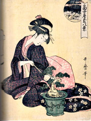 Japanese Pine Bonsai in Ukiyo-e Print