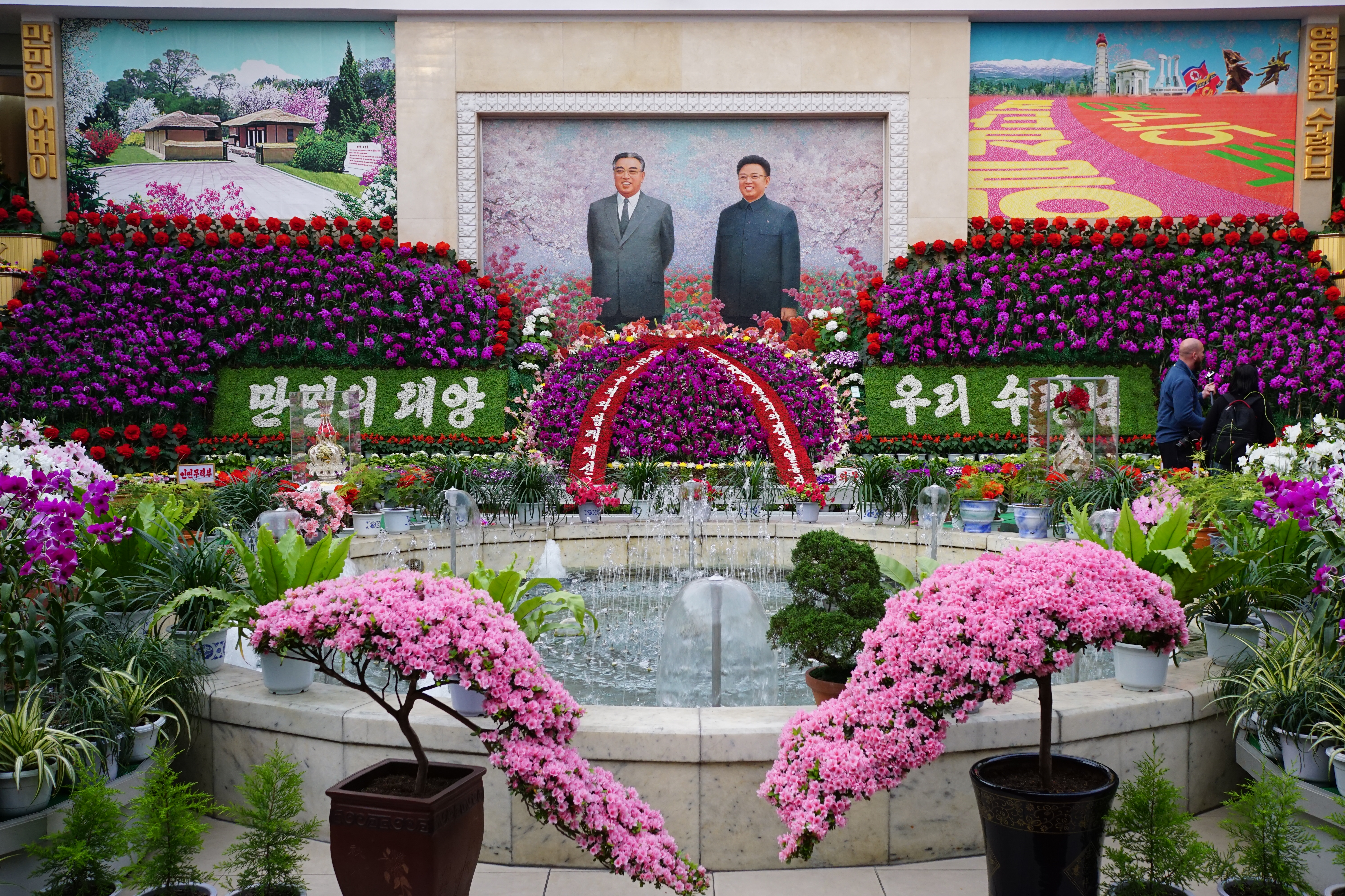 Pink Flowering Azalea Cascade Bonsai